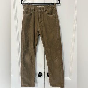 Patagonia corduroy tan pants.